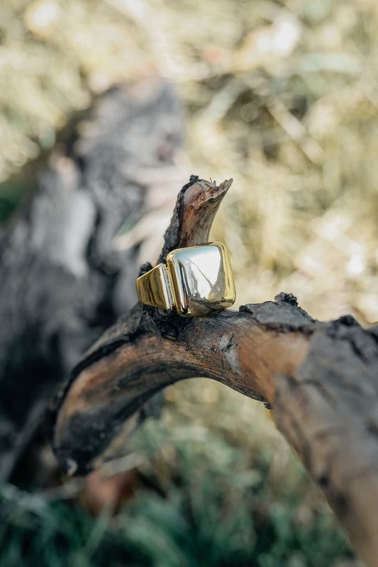 Amor bold ring on a wood stump 